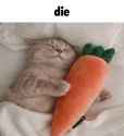 Die