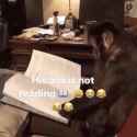 not-reading