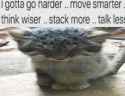 99 KB