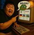 268 KB