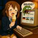 276 KB