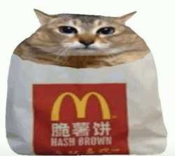 437 KB