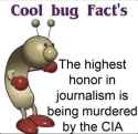 53 KB