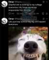 138 KB