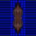 28 KB