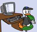 33 KB