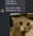 49 KB