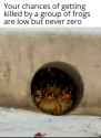43 KB