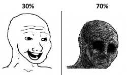 393 KB