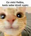 79 KB