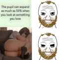 54 KB