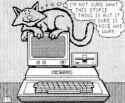 33 KB