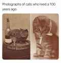 100 KB