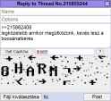 19 KB