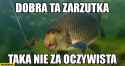 79 KB