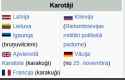 21 KB