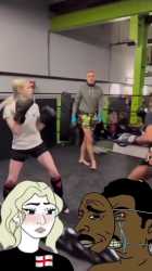 2.3 MB