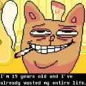 36 KB