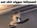 1.45 MB