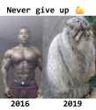 337 KB