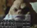 173 KB