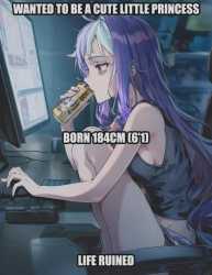 343 KB
