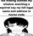 109 KB