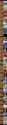 1.55 MB