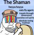 shaman.jpg