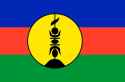 Nouvelle-caledonie_Drapeau_Flag_Bandiera.jpg