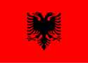 Flag_of_Albania.svg (1).png