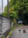 312 KB