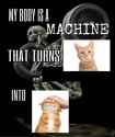 59 KB