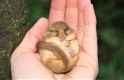 290 KB