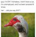 98 KB