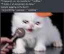 811 KB