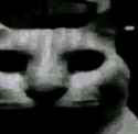 29 KB