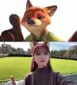 3.49 MB