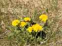 3.94 MB