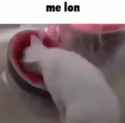 167 KB