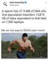 86 KB