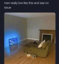 491 KB
