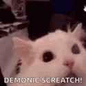 221 KB