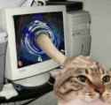 44 KB