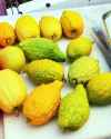 638 KB