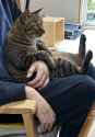486 KB