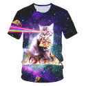 186 KB