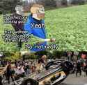204 KB