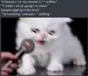 22 KB