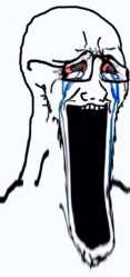 24 KB